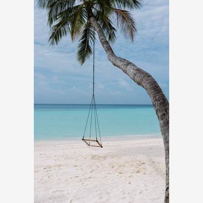 oryo studioが撮影した「:albumName」の写真