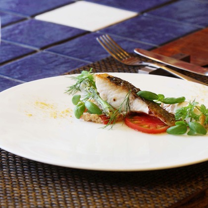 森安　照が撮影した「:albumName」の写真