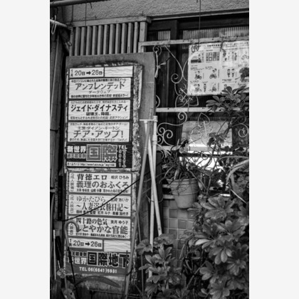 スタジオファンタスが撮影した「:albumName」の写真