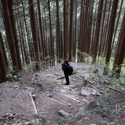 内山慎也が撮影した「:albumName」の写真