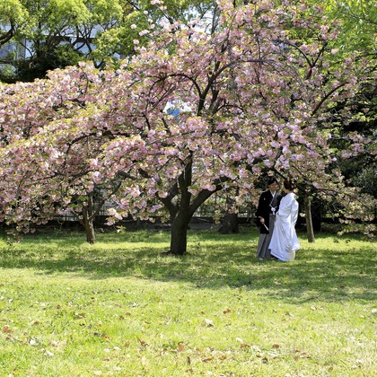 Sakamoto photo (坂本写真)が撮影したウェディングや家族、ビジネスの写真