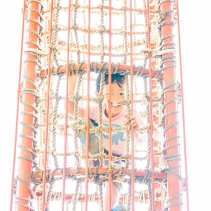 かわもとえつこが撮影した「:albumName」の写真