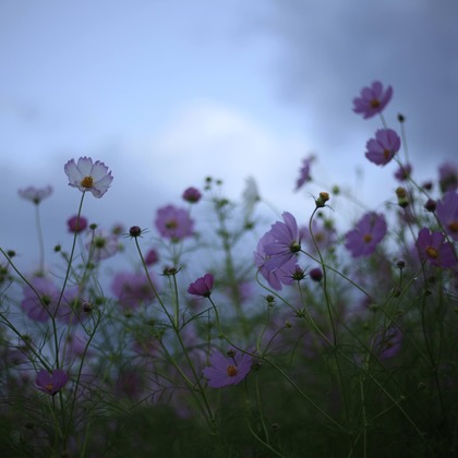 写真屋gonree　阿波根里恵が撮影した旅行先の記念撮影の写真