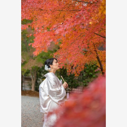 saruco(岩崎寿）が撮影した「:albumName」の写真