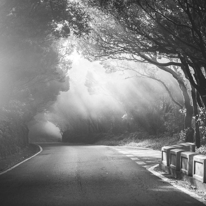 Jacek Cichopekが撮影した「:albumName」の写真