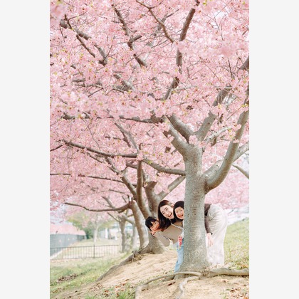 藤内誠一郎が撮影した「:albumName」の写真