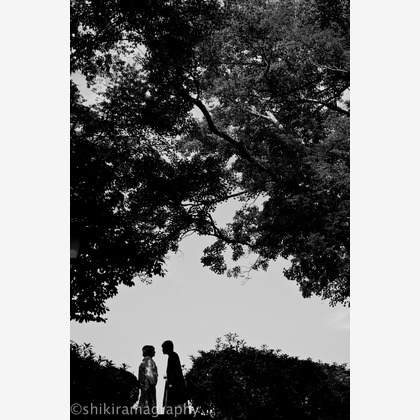 シキラマ グラフィーが撮影したウェディングや家族、ビジネスの写真
