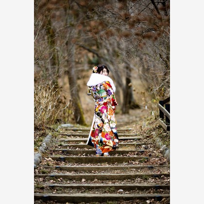 松井シンジが撮影した「:albumName」の写真