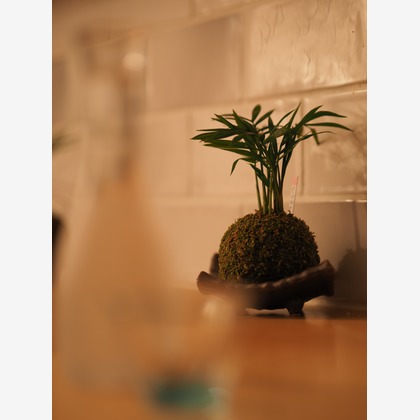 Kakky_Photographerが撮影した「:albumName」の写真