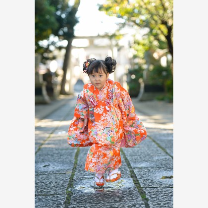 アラタンホヤガが撮影した「:albumName」の写真