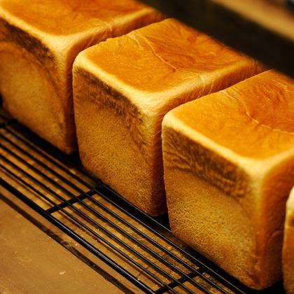 幡原裕治が撮影した「:albumName」の写真