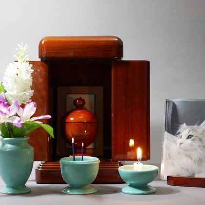 出張撮影のメモリーズが撮影した「:albumName」の写真