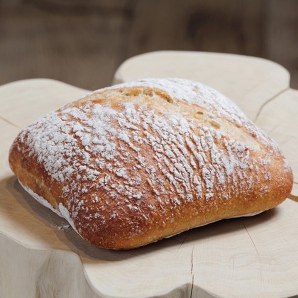 森安　照が撮影した「:albumName」の写真