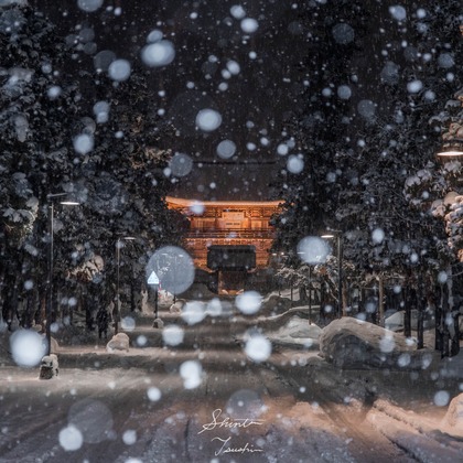 Shintaro Tsushimaが撮影した店舗/オフィス/サロン撮影の写真