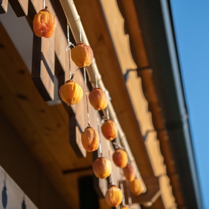 Sara Photo Worksが撮影したウェディングや家族、ビジネスの写真