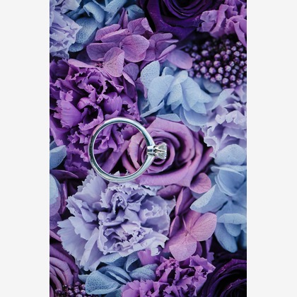 Photo of :albumName taken by Before the rain photography