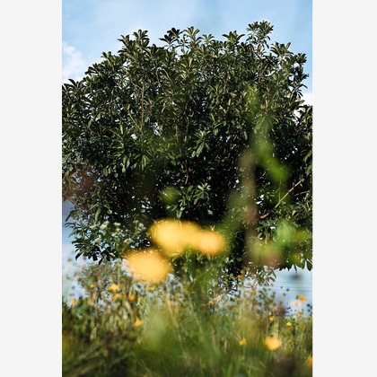 内山慎也が撮影した「:albumName」の写真