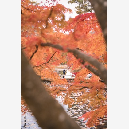 Photo of  taken by にしむら　けいすけ