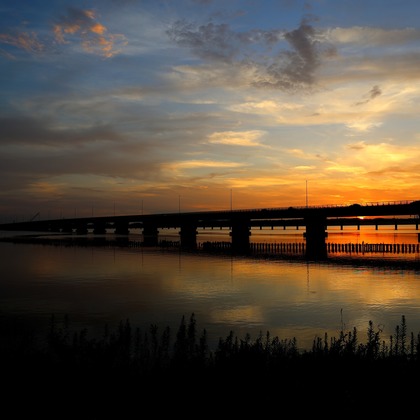 ms photoが撮影した「:albumName」の写真