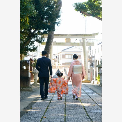 アラタンホヤガが撮影した「:albumName」の写真