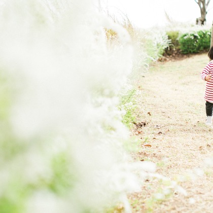 Yuki Shimada Photographyが出張撮影したテディベア, 低木, ぬいぐるみなどが写った「ファミリーフォト」の家族写真