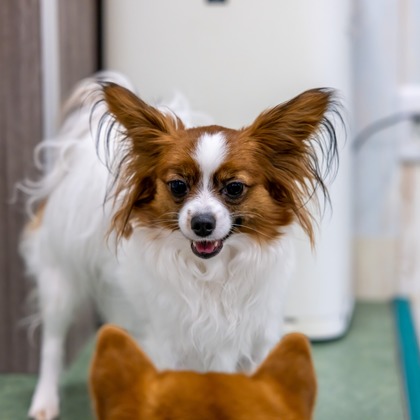 沖山俊樹が撮影した「:albumName」の写真