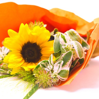 SmileMemoriesPhotoStudioが撮影した「:albumName」の写真