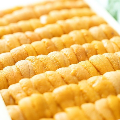 Photography_KanaUが撮影したウェディングや家族、ビジネスの写真