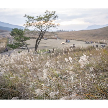 松本写真事務所が撮影した「:albumName」の写真