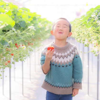 株式会社Neo-Smile 「locationbreeze」高橋 徹が撮影した「:albumName」の写真