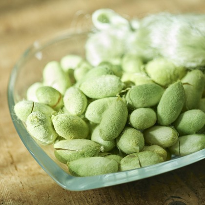 大橋裕紀が撮影した商品/物撮りの写真