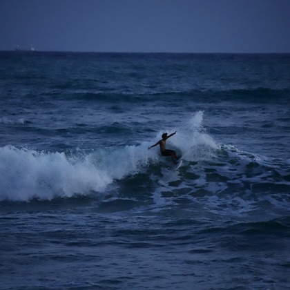 TSD officeが撮影した「:albumName」の写真