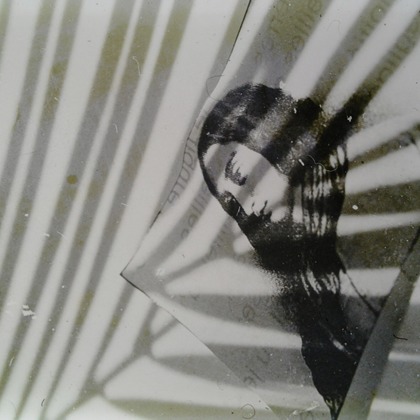 baysidecoyoteが撮影したその他の写真