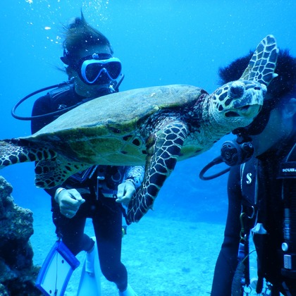 杉野優介が撮影した「:albumName」の写真