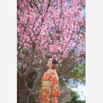 ＥＧＰが撮影した「:albumName」の写真