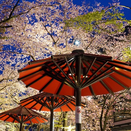 鈴木賢志が撮影した旅行先の記念撮影の写真