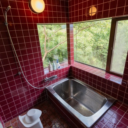 鈴木美咲が撮影した「:albumName」の写真