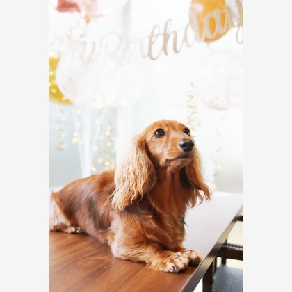 外川博己が撮影したその他の写真