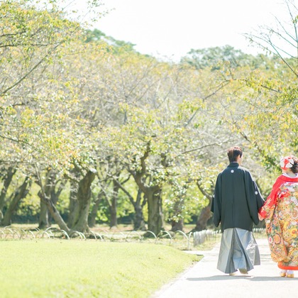 Photo of :albumName taken by NEMURA FILMS