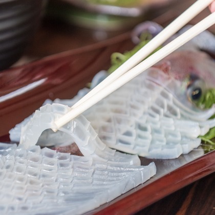 石津祐介が撮影した「:albumName」の写真