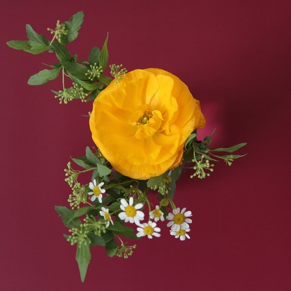 Natsukiが撮影した商品/物撮りの写真