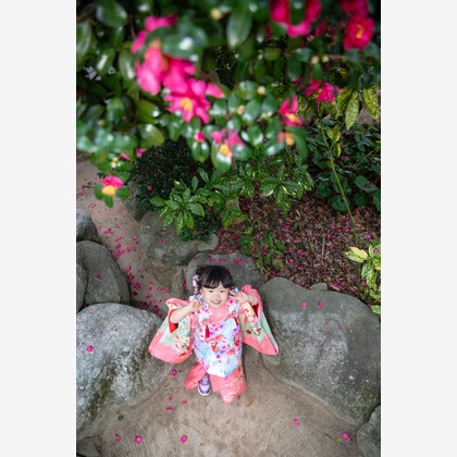 岩坪眞一郎が出張撮影した植物, 雲, 空が写った七五三フォトの写真