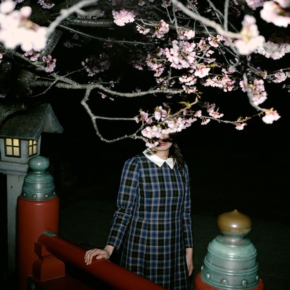 新井晃平が撮影した「:albumName」の写真