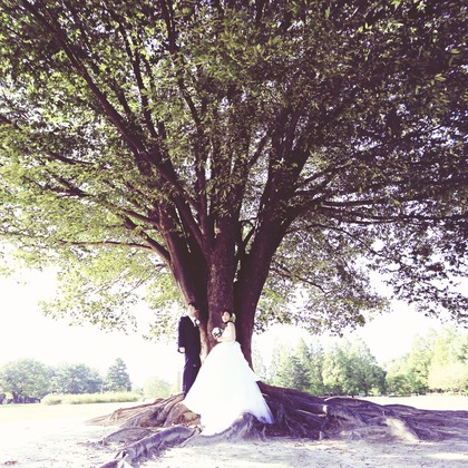 Photo of :albumName taken by Studio 8