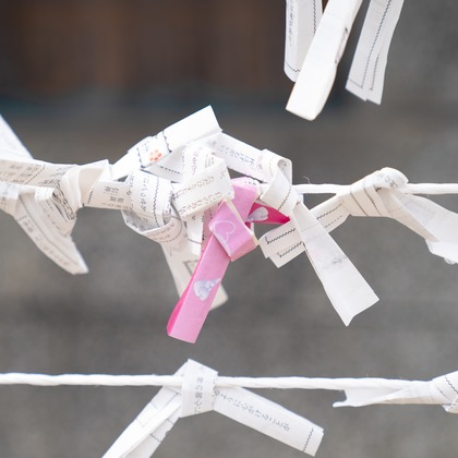 ハネムーンアベニューが撮影したその他の写真