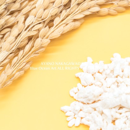 中川彩乃が撮影した商品/物撮りの写真