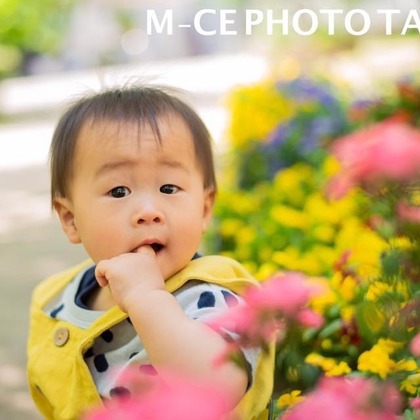 ミーチェ フォトが撮影した「:albumName」の写真