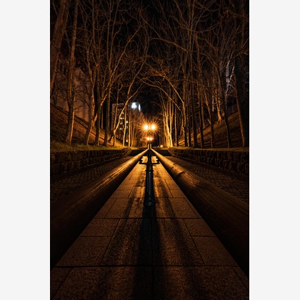 高木勇斗が撮影した「:albumName」の写真