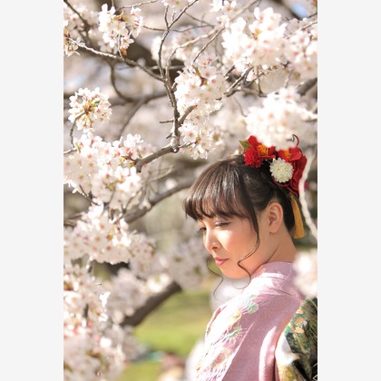 Photographer  Tomoが撮影したウェディングや家族、ビジネスの写真