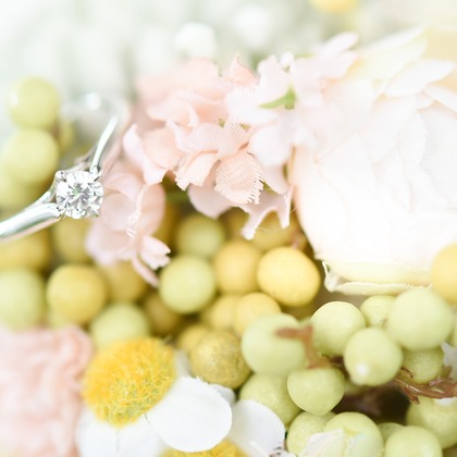 Photo of  taken by Hananophotography